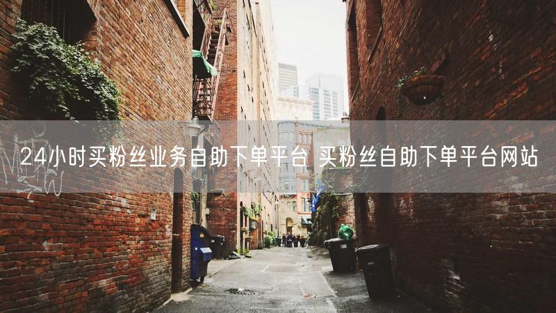 24小时买粉丝业务自助下单平台 买粉丝自助下单平台网站