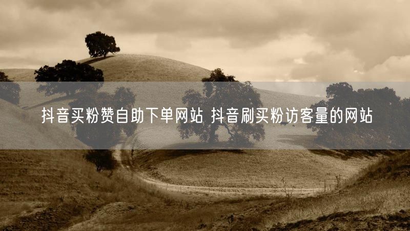 抖音买粉赞自助下单网站 抖音刷买粉访客量的网站