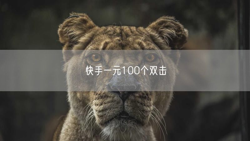 快手一元100个双击
