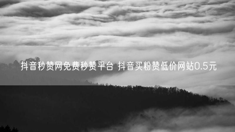 抖音秒赞网免费秒赞平台 抖音买粉赞低价网站0.5元
