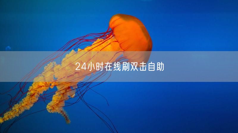 24小时在线刷双击自助