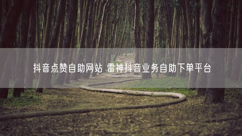 抖音点赞自助网站 雷神抖音业务自助下单平台