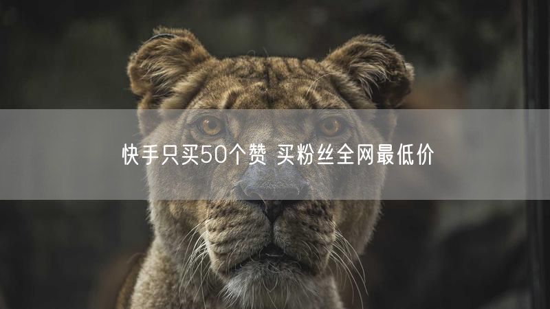 快手只买50个赞 买粉丝全网最低价
