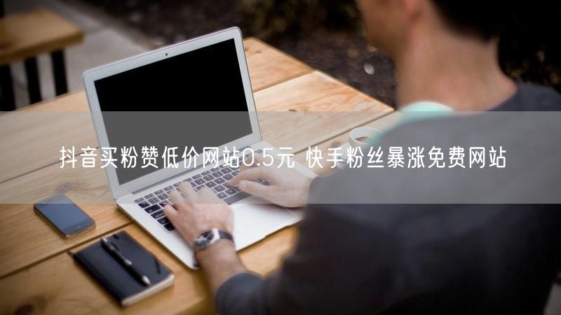 抖音买粉赞低价网站0.5元 快手粉丝暴涨免费网站