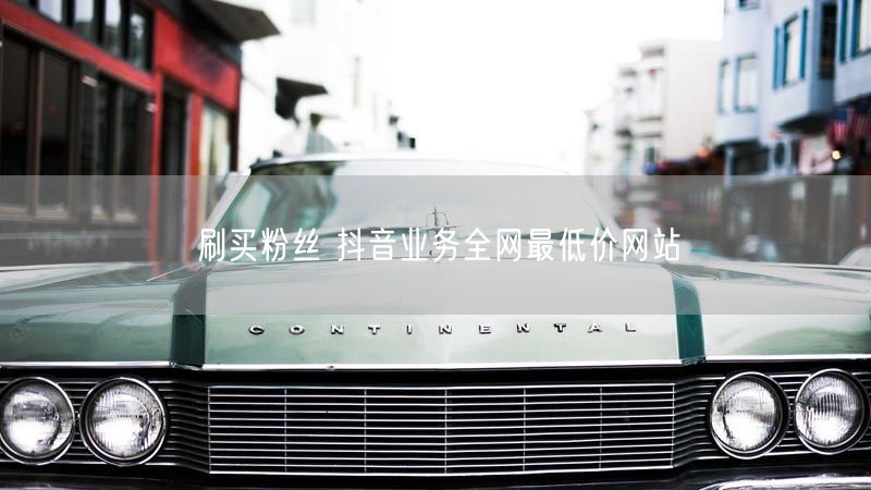 刷买粉丝 抖音业务全网最低价网站