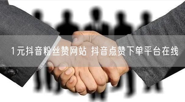 1元抖音粉丝赞网站 抖音点赞下单平台在线