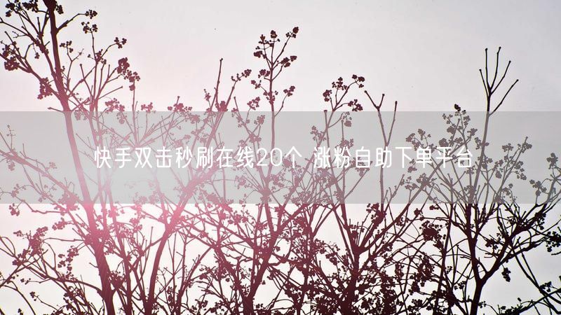 快手双击秒刷在线20个 涨粉自助下单平台