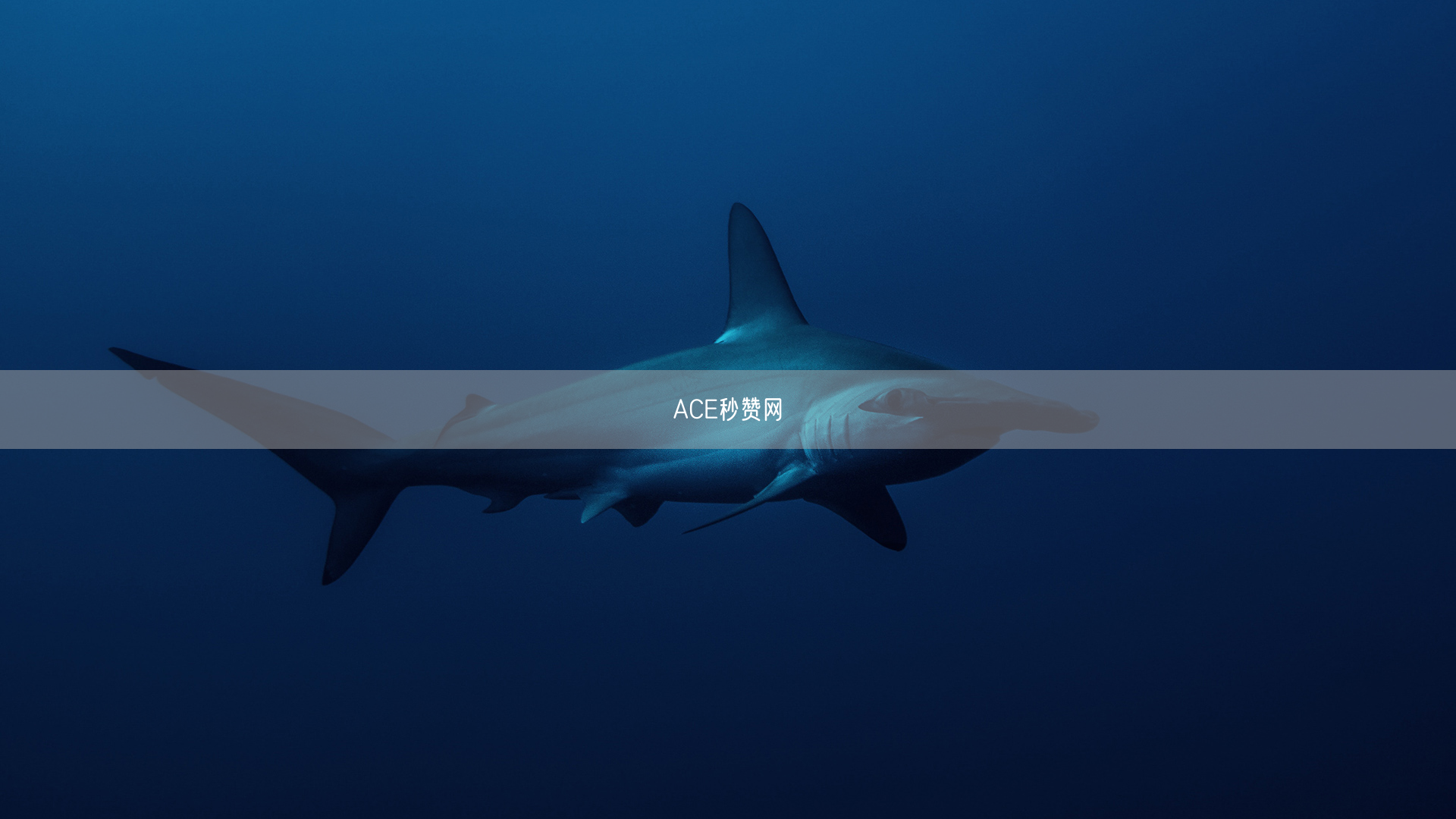 ACE秒赞网