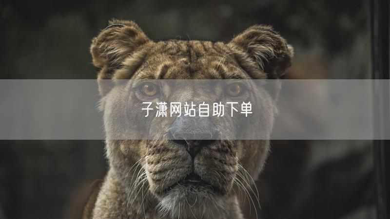 子潇网站自助下单