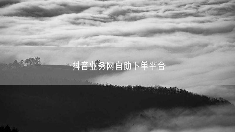抖音业务网自助下单平台