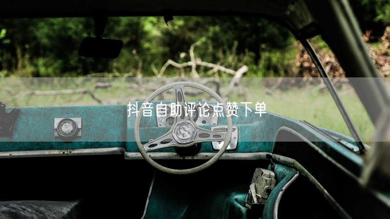 抖音自助评论点赞下单