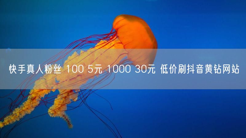 快手真人粉丝 100 5元 1000 30元 低价刷抖音黄钻网站