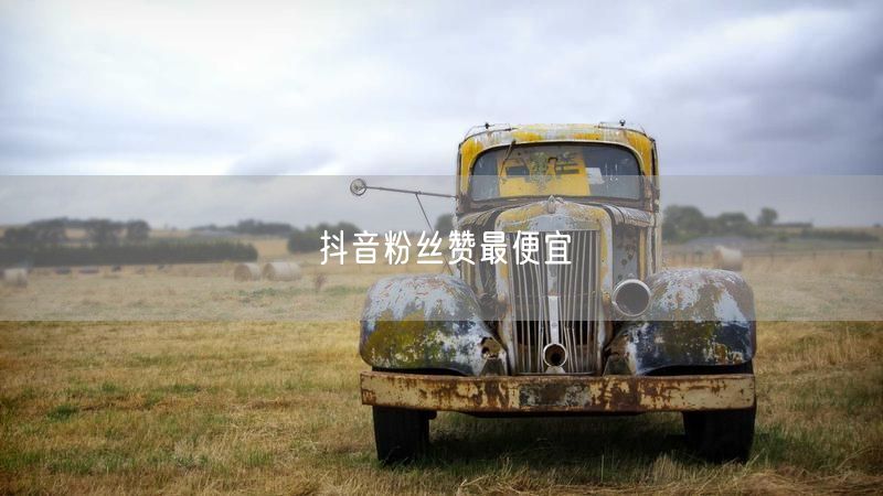 抖音粉丝赞最便宜