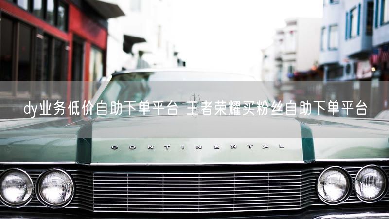 dy业务低价自助下单平台 王者荣耀买粉丝自助下单平台