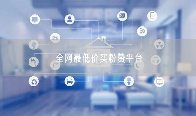 全网最低价买粉赞平台