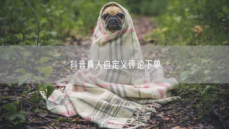 抖音真人自定义评论下单