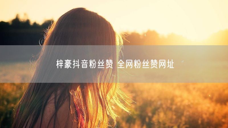 梓豪抖音粉丝赞 全网粉丝赞网址