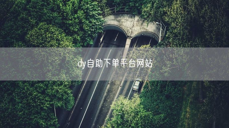 dy自助下单平台网站
