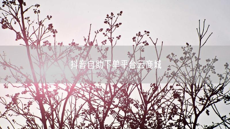 抖音自助下单平台云商城