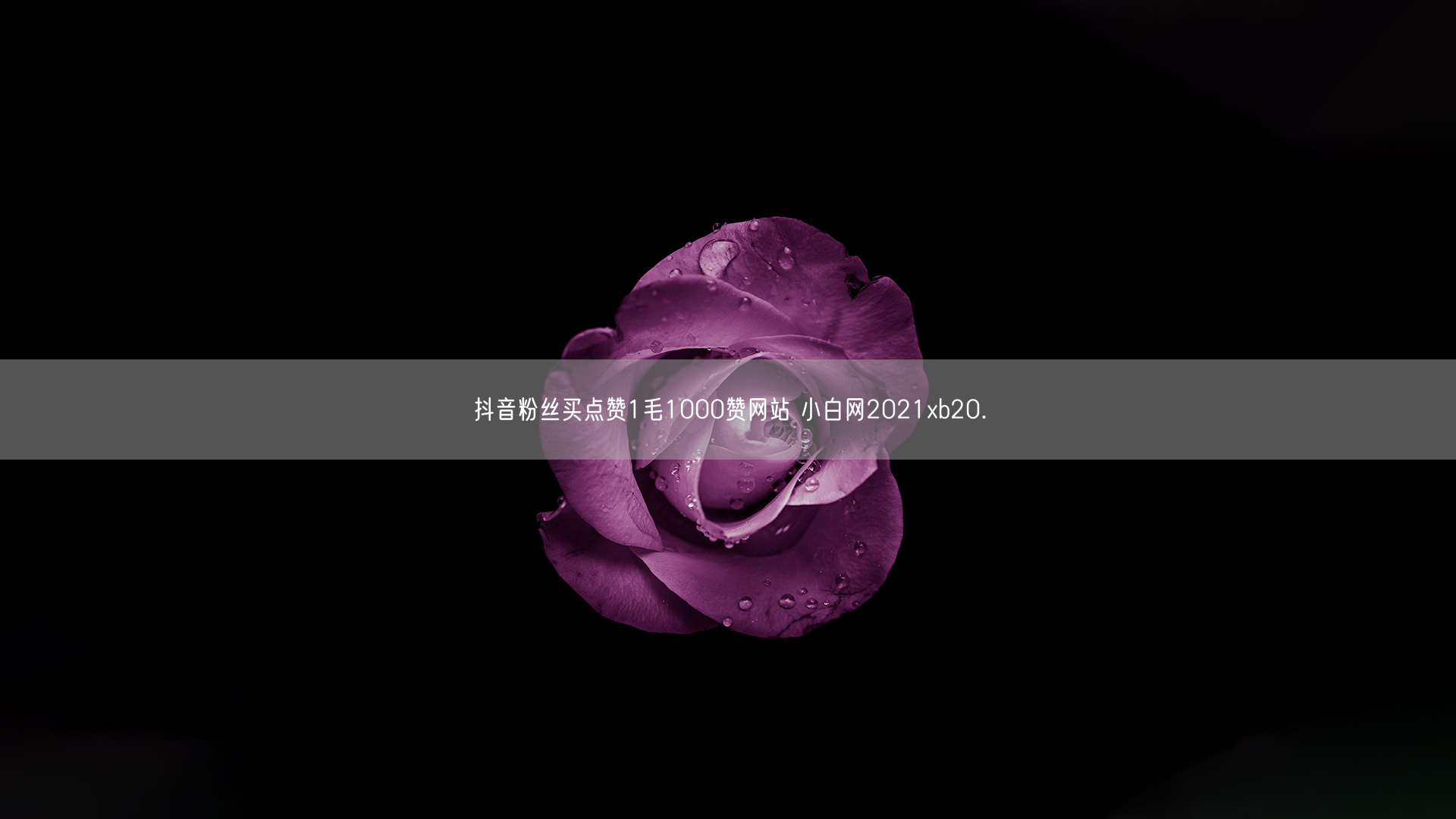 抖音粉丝买点赞1毛1000赞网站 小白网2021xb20.㏄