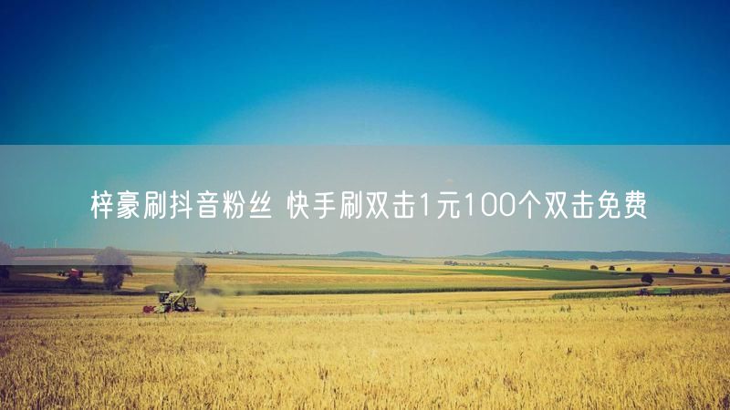梓豪刷抖音粉丝 快手刷双击1元100个双击免费