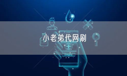 小老弟代网刷