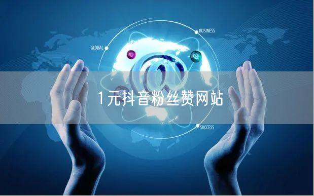 1元抖音粉丝赞网站