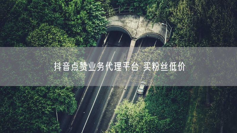 抖音点赞业务代理平台 买粉丝低价