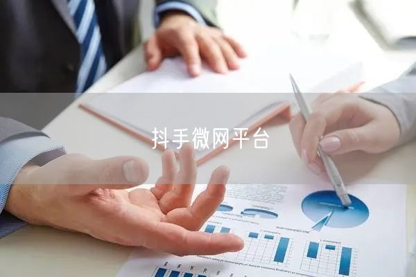 抖手微网平台