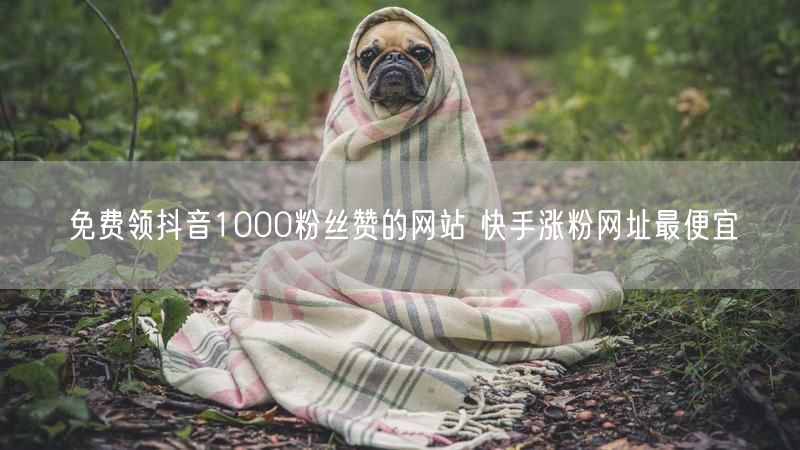 免费领抖音1000粉丝赞的网站 快手涨粉网址最便宜