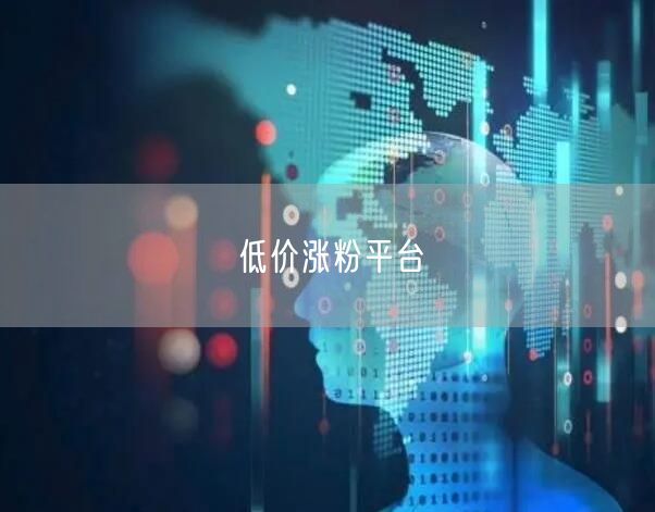 低价涨粉平台