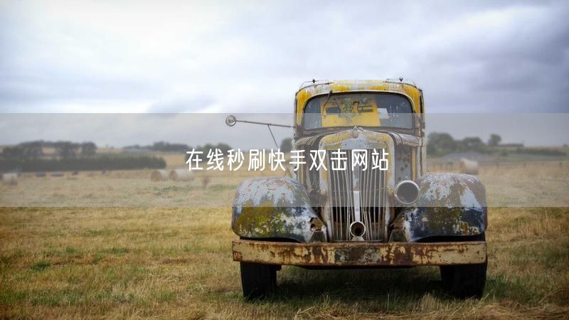 在线秒刷快手双击网站