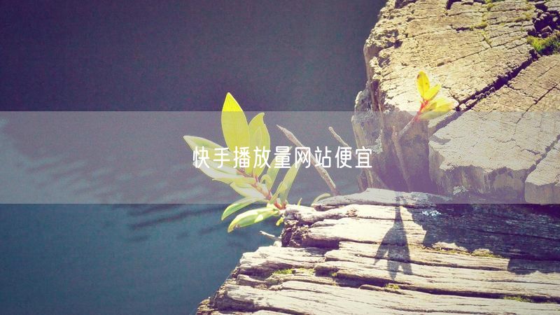 快手播放量网站便宜