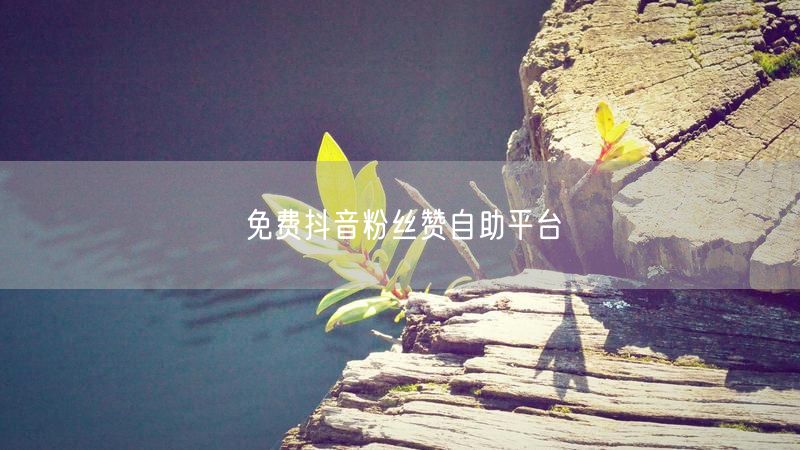 免费抖音粉丝赞自助平台