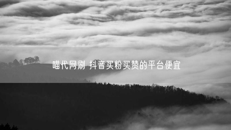 喵代网刷 抖音买粉买赞的平台便宜