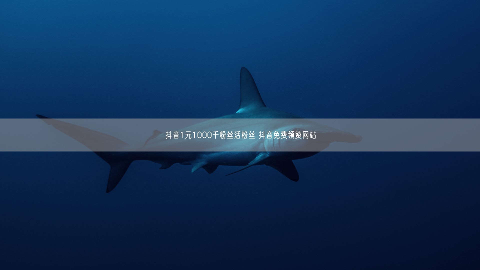 抖音1元1000千粉丝活粉丝 抖音免费领赞网站