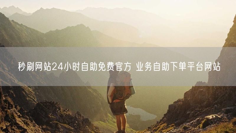 秒刷网站24小时自助免费官方 业务自助下单平台网站