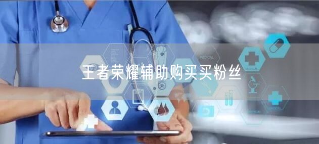 王者荣耀辅助购买买粉丝