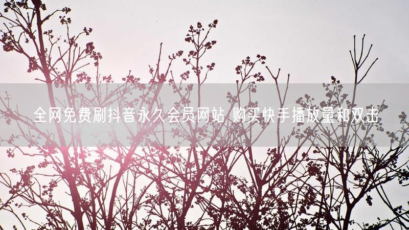 全网免费刷抖音永久会员网站 购买快手播放量和双击