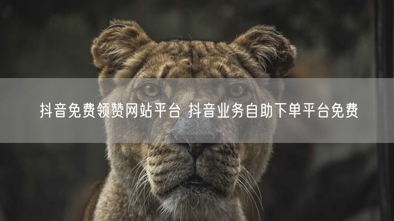抖音免费领赞网站平台 抖音业务自助下单平台免费