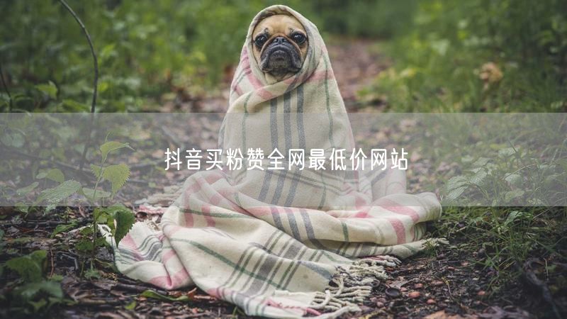 抖音买粉赞全网最低价网站