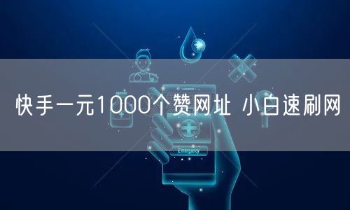 快手一元1000个赞网址 小白速刷网