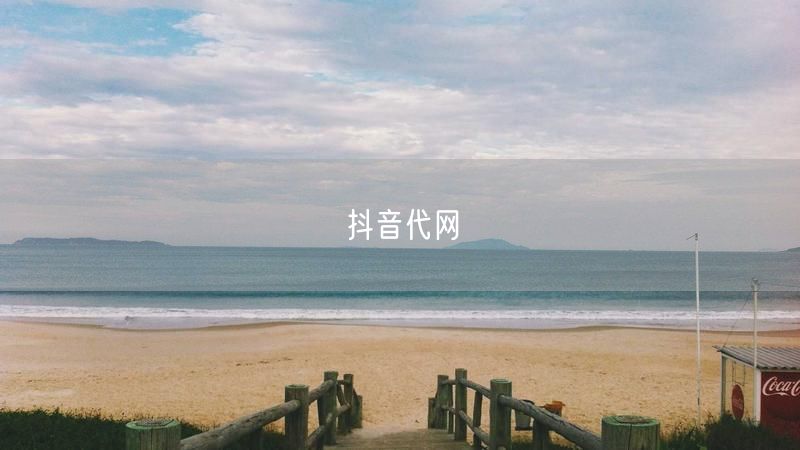 抖音代网