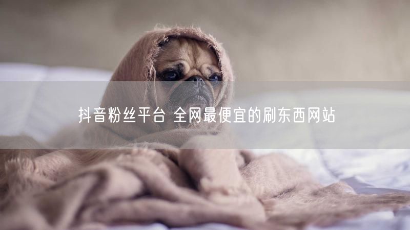 抖音粉丝平台 全网最便宜的刷东西网站