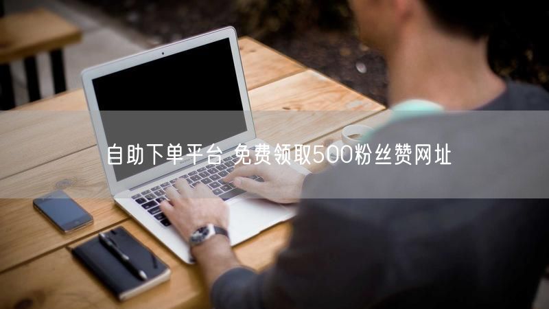 自助下单平台 免费领取500粉丝赞网址