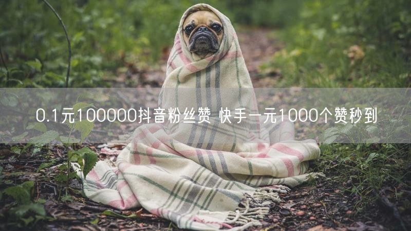 0.1元100000抖音粉丝赞 快手一元1000个赞秒到