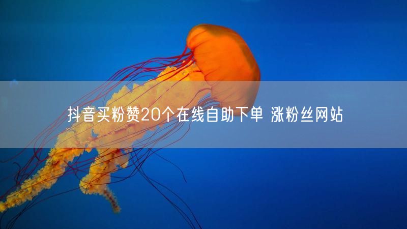 抖音买粉赞20个在线自助下单 涨粉丝网站