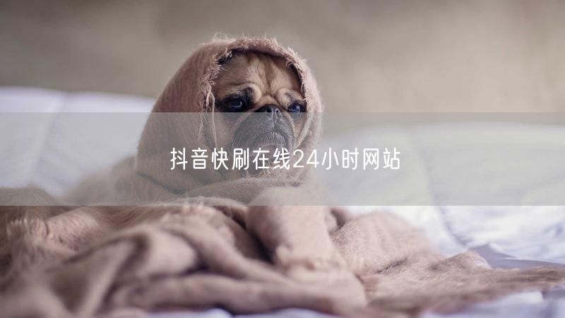 抖音快刷在线24小时网站