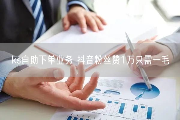ks自助下单业务 抖音粉丝赞1万只需一毛