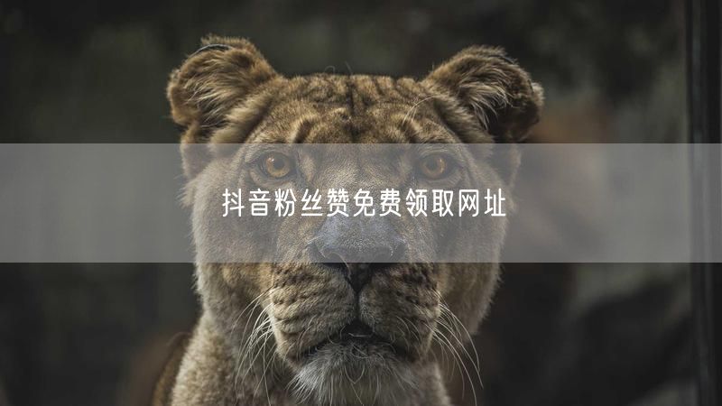 抖音粉丝赞免费领取网址